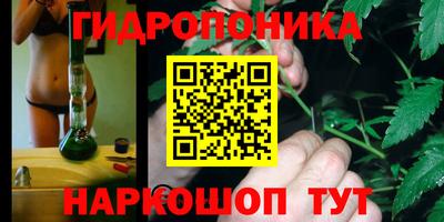 таблы Новозыбков